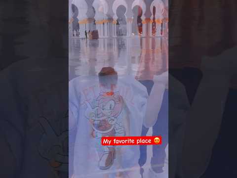 Abu & Massa had a short trip at this great place #shortsvideo #trending #viral