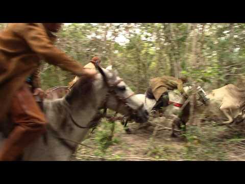 8ª Carreira do Boi Filipina, Passa Tempo Coivaras -PI#boinamoita