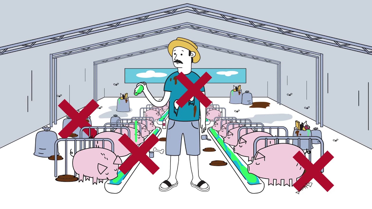 Resistencia antimicrobiana