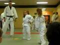 Judo Twins