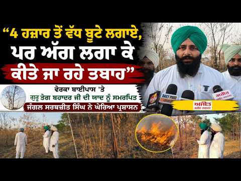 Amritsar News : "4 ਹਜ਼ਾਰ ਤੋਂ ਵੱਧ ਬੂਟੇ ਲਗਾਏ, ਪਰ ਅੱਗ ਲਗਾ ਕੇ ਕੀਤੇ ਜਾ ਰਹੇ ਤਬਾਹ"