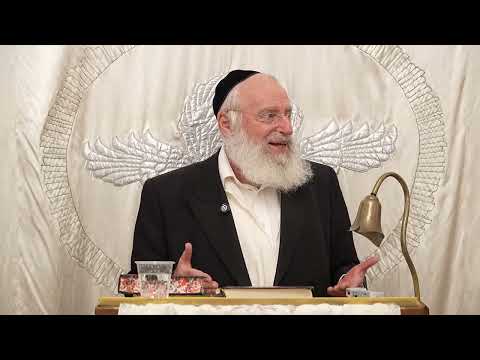 מצוות אכילה בערב יום כיפור | שיעור שבועי מאת מרן הרב אשר וייס שליט"א (פרשת האזינו תשפ"ו)