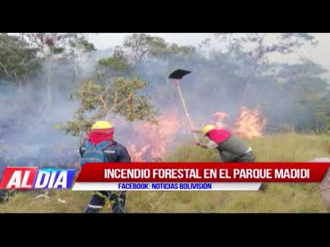 Avance de la Segunda Edición de noticieros Al Día   19 septiembre 2019