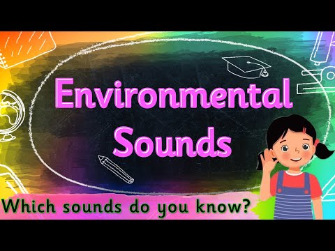 PHONICS LISTENING GAME👂 ENVIRONMENTAL SOUNDS | Miss Ellis #phase1phonics