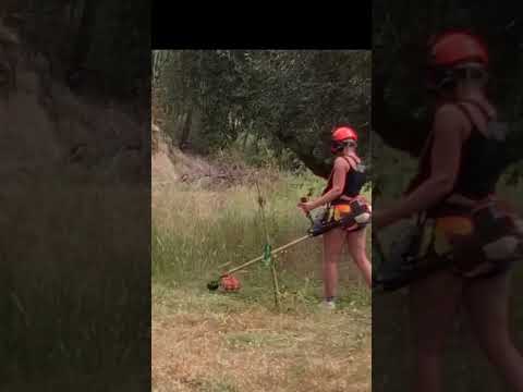 Lets Go #sneakpeak #creating #freedomville #offgrid #glamping #shorts