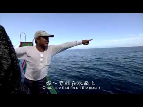 《三百萬分之一 》張緯誌、陳巖顧影片縮圖