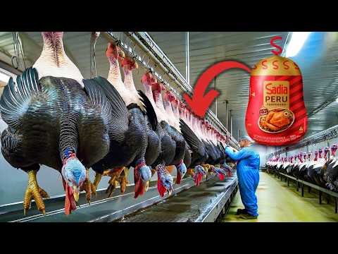 Como o PERU DE NATAL é processado - Processo Industrial
