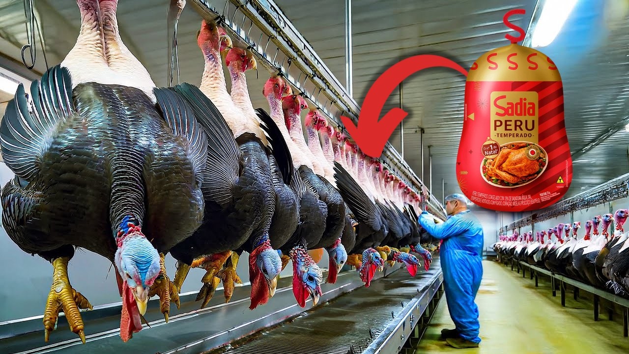 Como o PERU DE NATAL é processado - Processo Industrial