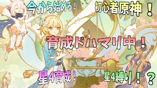 【初見歓迎】 今日は初めての星4縛り！？ボスや秘境を協力してクリア出来るのか！【初心者原神生配信】
