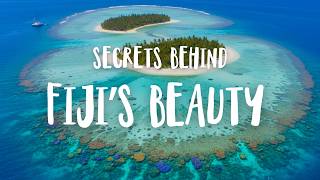 Fiji Travel Guide | Everything You Need to Know