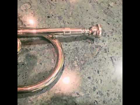 Professional Nickel Musical Trumpet for Interior Decoration Soviet Union 1959 USSR 1959 - Nickel image 13