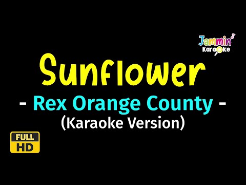 Sunflower - Rex Orange County (Karaoke Version)