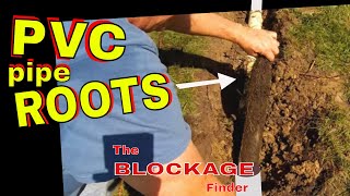 DIY Remove PVC Pipe ROOTS DOWNSPOUT DRAIN Pipe - BLOCKAGE FINDER Tree Roots pvc pipe repair