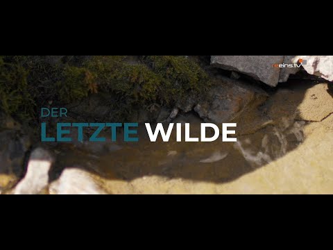 Der letzte Wilde - Der Lech (Teil 1)