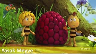 Arı Maya ► Yasak Meyve