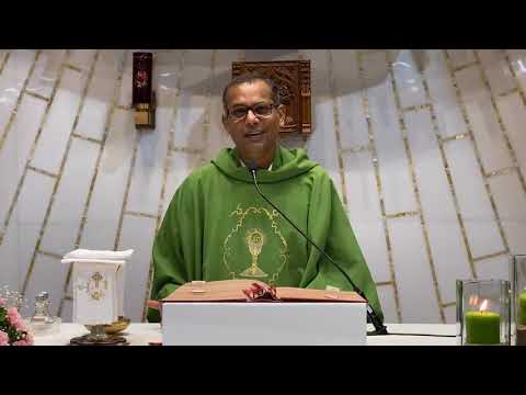 Luke 8:4-15 | Homily