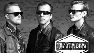 The Striders - Raw Hide (Link Wray cover)