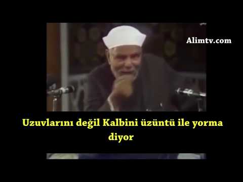 Rızık hakkında kutsi hadis   Şeyh Muhammad Metwali Alsharawi