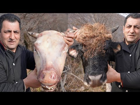 Traditional Khash soup recipe | Cow's Head Soup | Yummy Paçe cooking | Wilderness Cowhead recipes