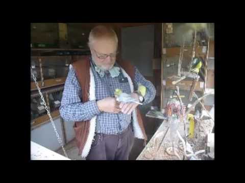 2016 10 24 Der Wellispielfilm des Tages