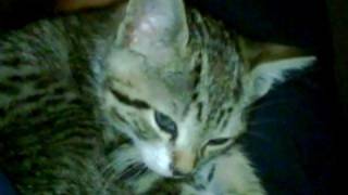 It&#39;s Never Too Late