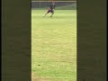 Lane Batting/fielding