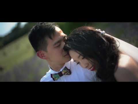 Lavender field wedding in Provence, France