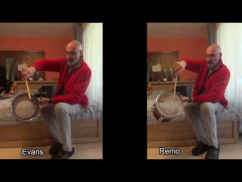 Evans ec2 vs Remo pinstripe