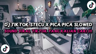 Download lagu DJ TIKTOK STECU X PICA PICA (Slowed   Viral TikTok 2025) mp3