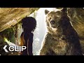 Mowgli Meets Baloo Movie Clip The Jungle Book 2016