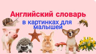 Английский детям. Английский словарь для малышей в картинках. English for kids.