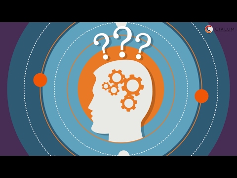 ВидеоМолот - Презентация сервиса Skillcloud для Ciklum. Инфографика на английском