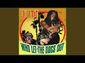 Who Let The Dogs Out House Remix