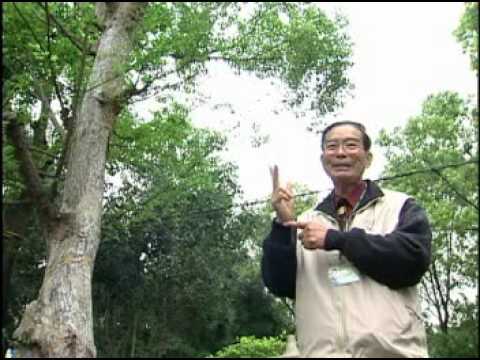 水土保持固家園 活力鄉村展新貌 -劍湖教室