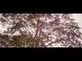 Something Necessary Official Trailer