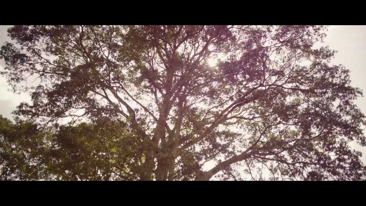 Something Necessary Official Trailer