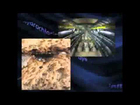 Seepex Progressive Cavity Pumps: Suited for an Array of Applications in the Food & Bev Industries