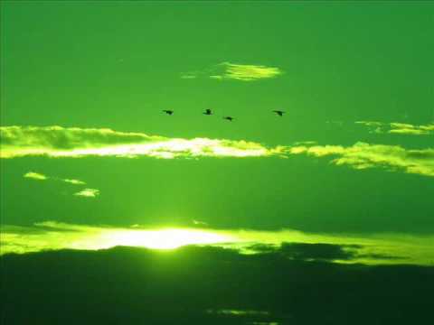 539 Limited - Simple Things [FULL]