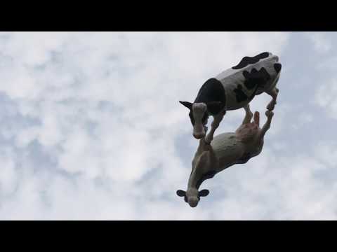 COPY011 - Falling Cows - Sun Prayer (Video Cut)