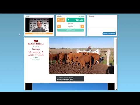 Remate de Martín y Alonso SA