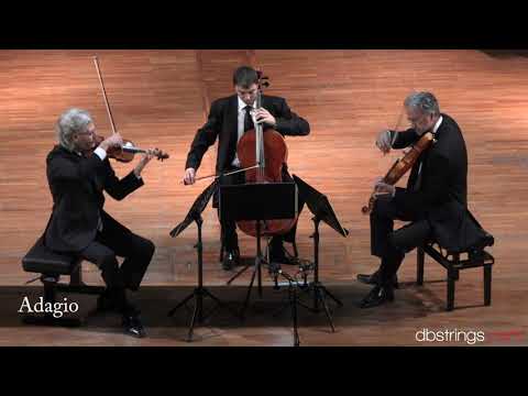 Nuovo Trio Italiano d'Archi - Mozart Divertimento in mi bemolle maggiore K. 563 (Gran Trio)