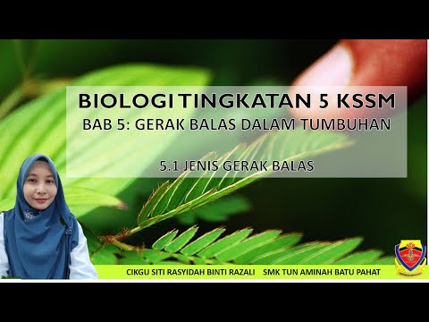 BIOLOGI TINGKATAN 5 KSSM BAB 5.1 JENIS GERAK BALAS