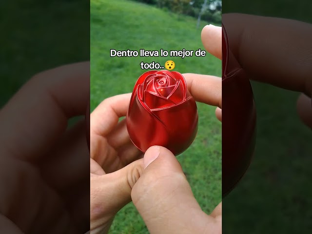 Vídeo relacionado con ADDWel San Valentin Regalos Mujer, Rosa Eterna con Collar de Plata 925 y Oso de Rosas, Regalo de Cumpleaños para Madre Novia Esposa Mama, Caja de Joyería Hipoalergénico