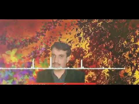 Raja hafeez pothwari geet