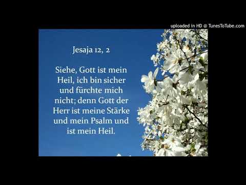 Jes. 12, 2 Teil 2: Der Glaube und das Leben mit Jesus Christus geben Halt, Stärke, Zuversicht.