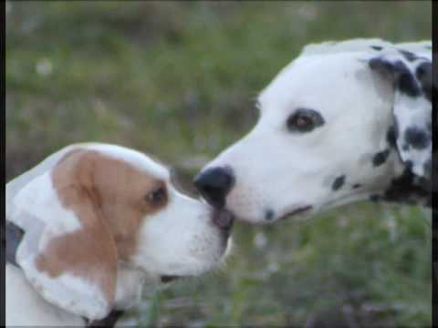 Togetherness.wmv