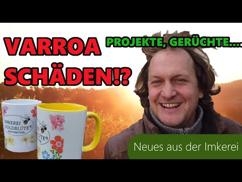 Varroaschäden Nov. 2023 | Was sagt die Gerüchteküche? |  Alltägliches  | Neues aus der Imkerei