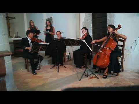 The Florence String Quartet - Live Wedding Music