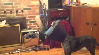 Skeeter singing Buck Owens "Together Again"