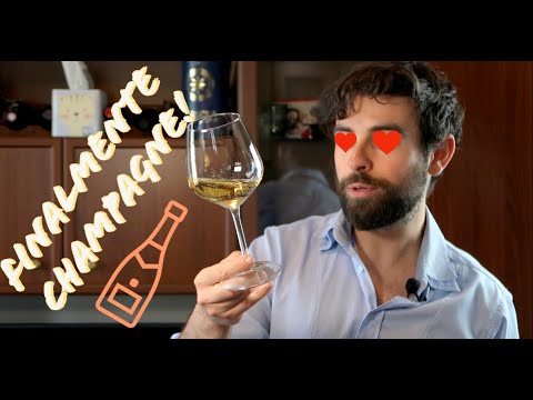 Freschezza SCONVOLGENTE – Champagne Sauvage – Famille Delouvin